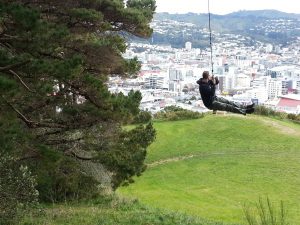 Über den Dächern der Hauptstadt Wellington: Aussicht vom Mt. Victoria